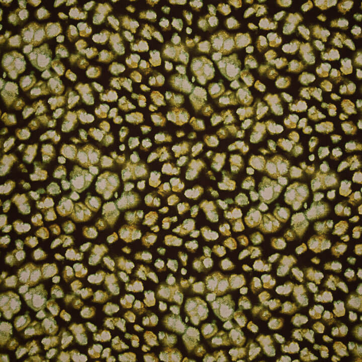Double-sided viscose fabric, olive mosaic - Ribes y Casals