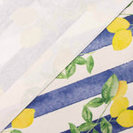 Resin-coated, stain-resistant, blue stripes - Ribes y Casals