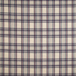 Balmoral Blue Cotton Canvas with Checks - Ribes y Casals