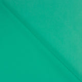 Can Can Basic Aqua Green - Ribes y Casals