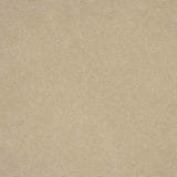 Canvas Wash Beige - Ribes y Casals