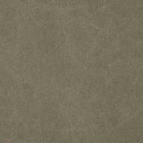 Military Green Washed Canvas - Ribes y Casals