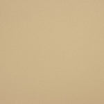 Smooth Beige Crepe - Ribes y Casals