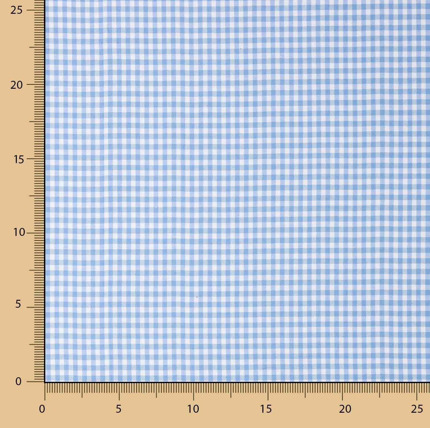 Light Blue Gingham Mini 20 - Ribes y Casals