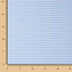 Light Blue Gingham Mini 20 - Ribes y Casals