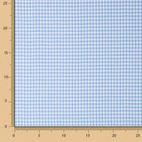 Light Blue Gingham Mini 20 - Ribes y Casals