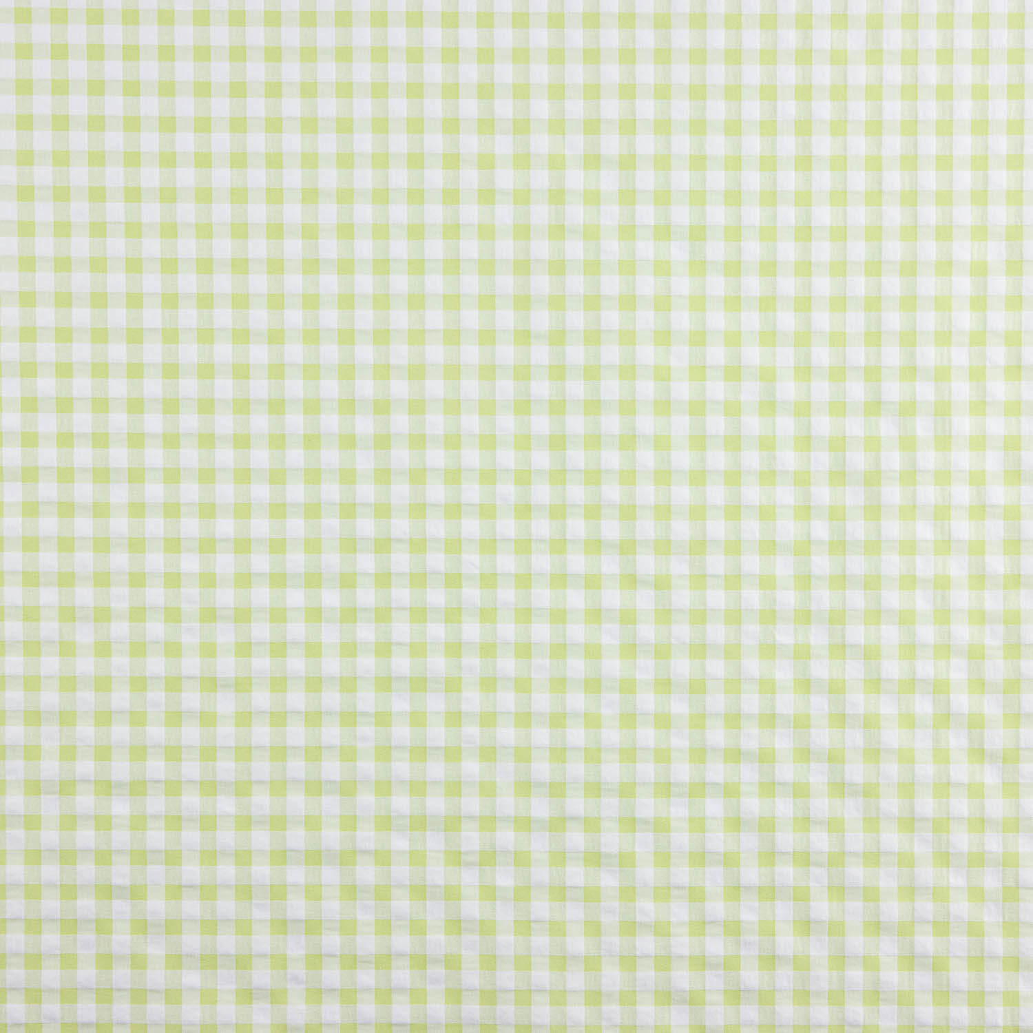Light Green Checkered Seersucker - Ribes y Casals