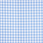 Large Light Blue Gingham Check 80 - Ribes y Casals