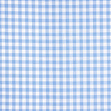Large Light Blue Gingham Check 80 - Ribes y Casals