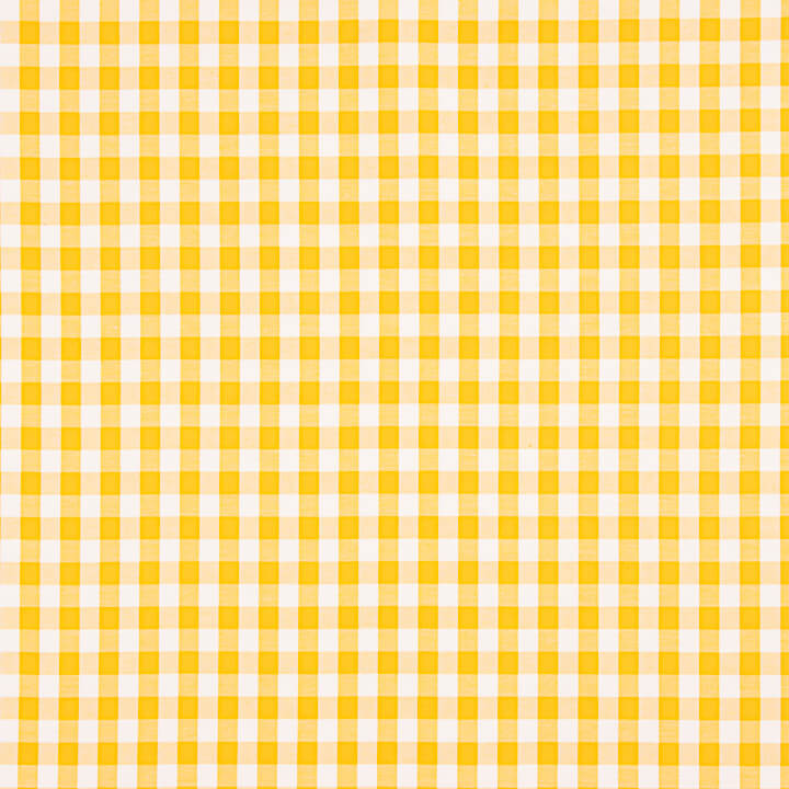 Large Yellow Gingham Check 80 - Ribes y Casals