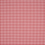 Gingham Basic Red Medium 60 - Ribes y Casals