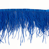 Feather Fringe Plus Azulina - Ribes y Casals