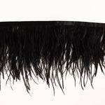 Feather Fringe Plus Black - Ribes y Casals