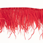 Feather Fringe Plus Red - Ribes y Casals