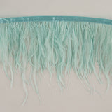 Feather Fringe Plus Aquamarine Green - Ribes y Casals