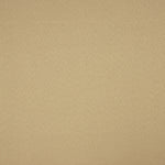 Stretch Fama Burlington Camel - Ribes y Casals