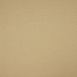Stretch Fama Burlington Camel - Ribes y Casals