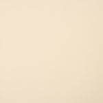 Beige Stretch Polyester Lining - Ribes y Casals