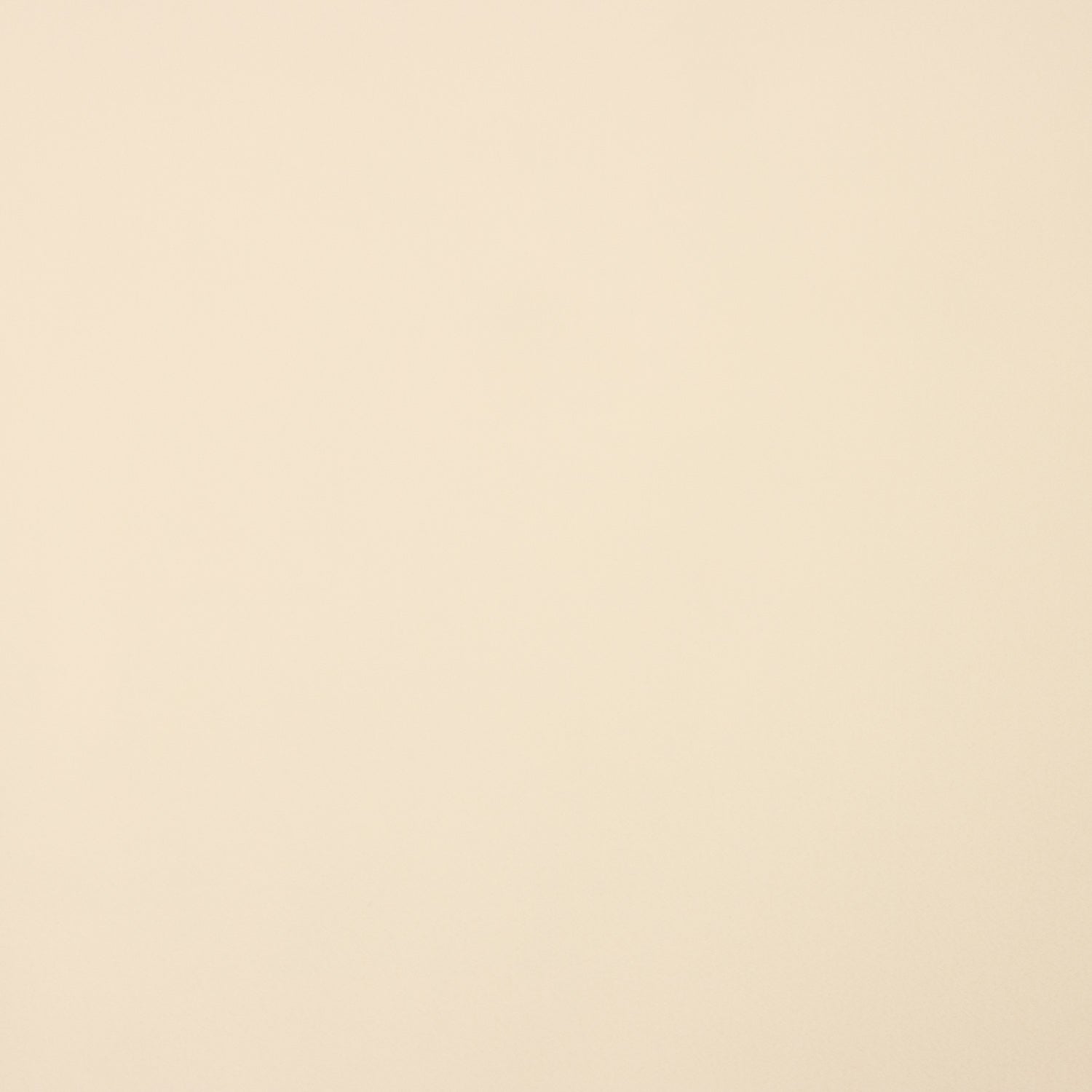 Beige Stretch Polyester Lining - Ribes y Casals