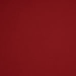 Heavy Scuba Red Neoprene Knit Top - Ribes y Casals