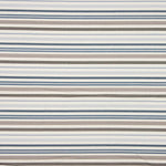 Blue and Beige Stripe-Patterned Printed Canvas  - Ribes y Casals