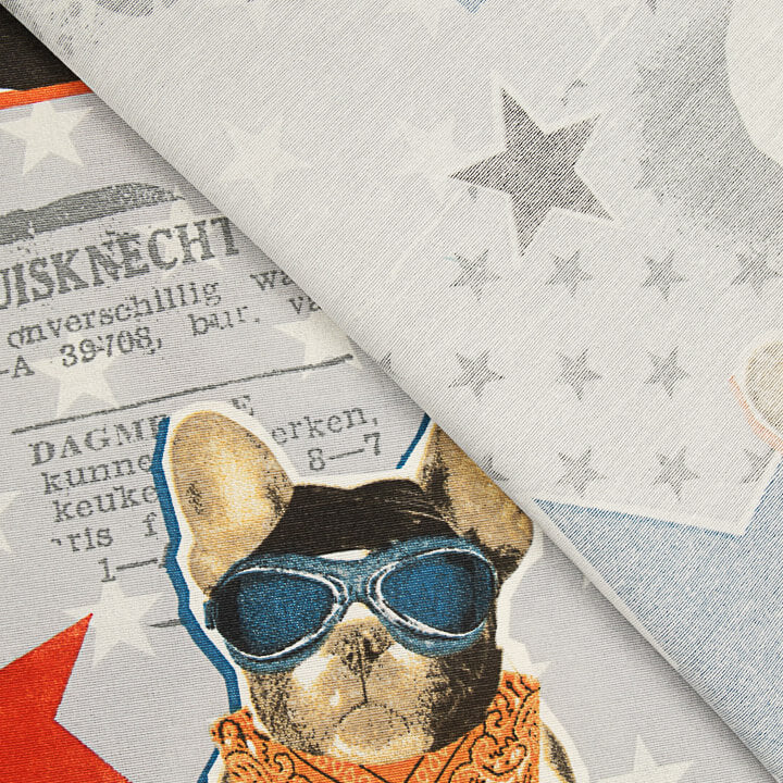 Rocker Dogs Printed Cotton Canvas - Ribes y Casals