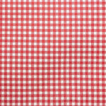 Red Vichy Check Resin-Coated Tablecloth - Ribes y Casals