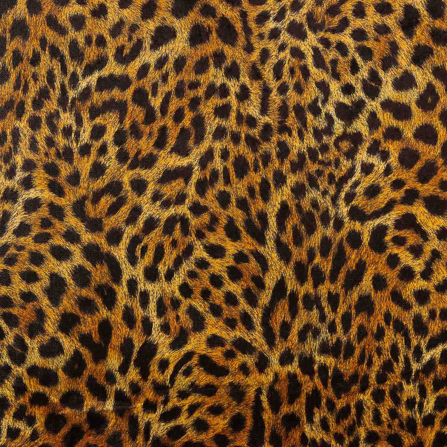 Velvety Leopard Dot - Ribes y Casals