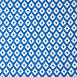 Blue Ikat Print Viscose - Ribes y Casals