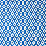 Blue Ikat Print Viscose - Ribes y Casals