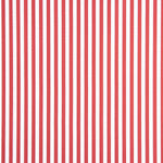 Organic Cotton Poplin Red and White Stripes - Ribes y Casals