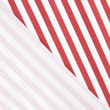 Organic Cotton Poplin Red and White Stripes - Ribes y Casals