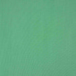 Basic plain cotton poplin Green - Ribes y Casals