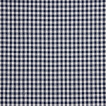 Medium Navy Blue Gingham Check 60 - Ribes y Casals