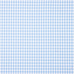 Light Blue Gingham Check Medium 60 - Ribes y Casals