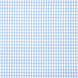 Light Blue Gingham Check Medium 60 - Ribes y Casals