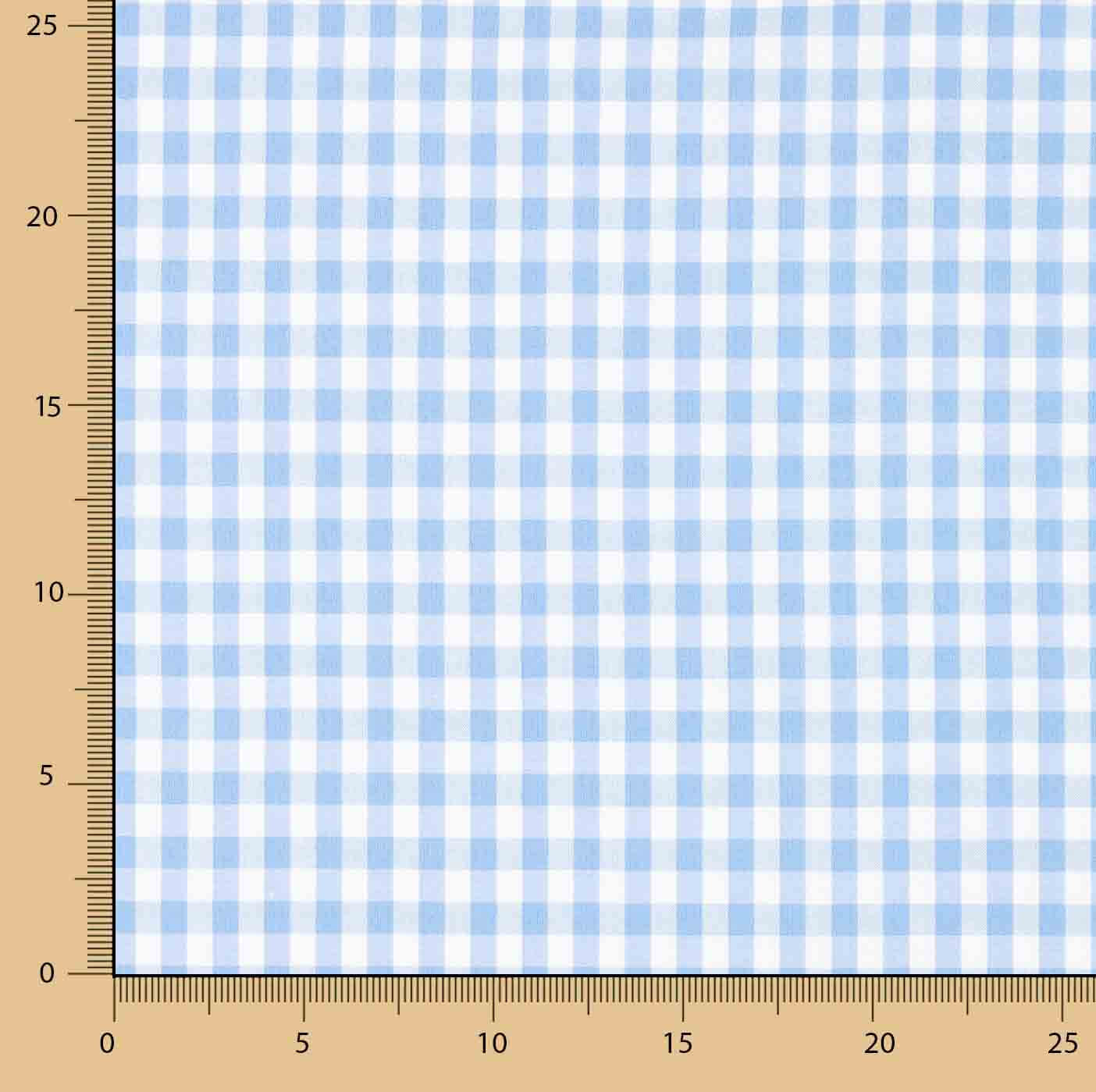 Light Blue Gingham Check Medium 60 - Ribes y Casals