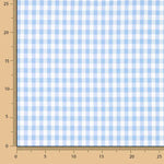 Light Blue Gingham Check Medium 60 - Ribes y Casals