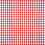 Large Red Gingham Check 80 - Ribes y Casals