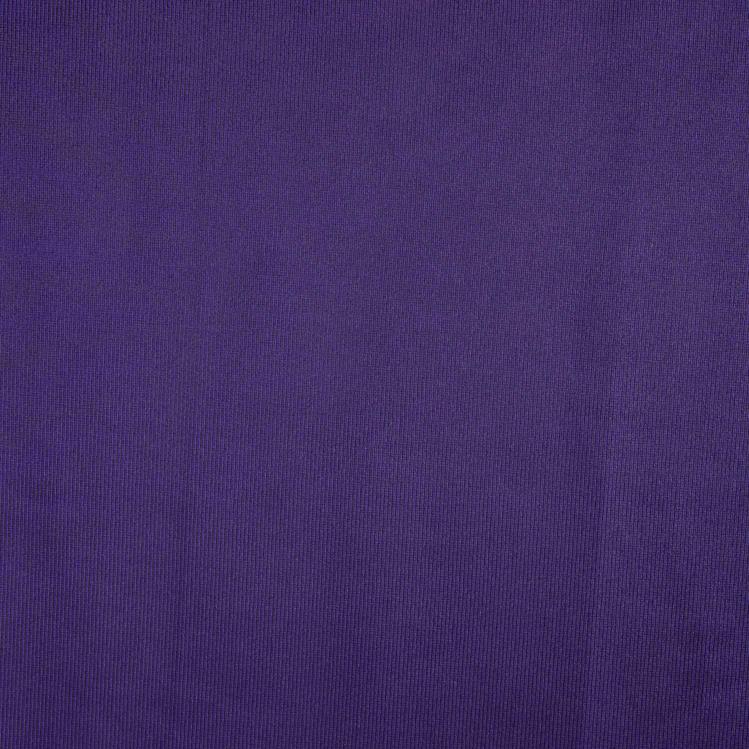 Purple Rasete Fabric Remnant - Various sizes x width 150 cm - Ribes y Casals