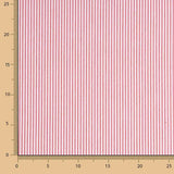 Red Stripes Mini 2mm - Ribes y Casals
