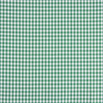 Gingham Basic Green Small 40 - Ribes y Casals