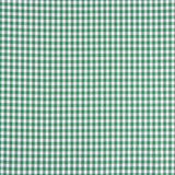 Gingham Basic Green Small 40 - Ribes y Casals