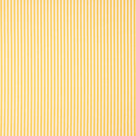 Small Yellow Stripes 40 - Ribes y Casals