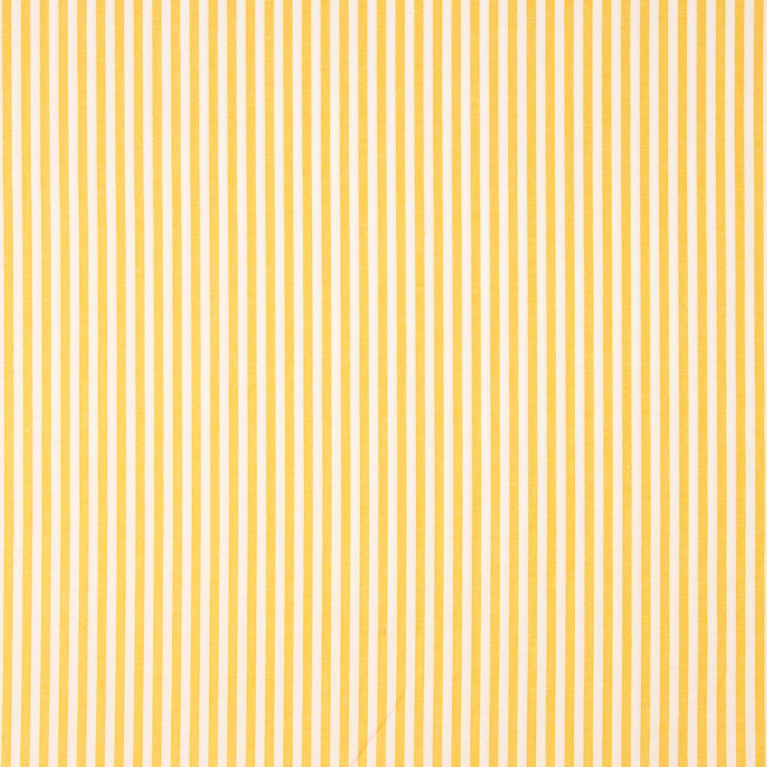 Small Yellow Stripes 40 - Ribes y Casals