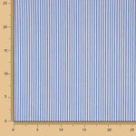 Blue Stripes Mini 20 - Ribes y Casals