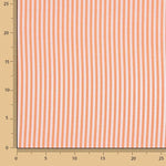 Orange Stripes Small 40 - Ribes y Casals