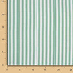 Green Stripes Mini 2mm - Ribes y Casals