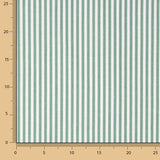 Small Green Stripes 40 - Ribes y Casals