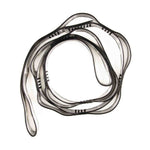 Slinga Strap for Aerial Yoga and Acrobatic Silks - Ribes y Casals